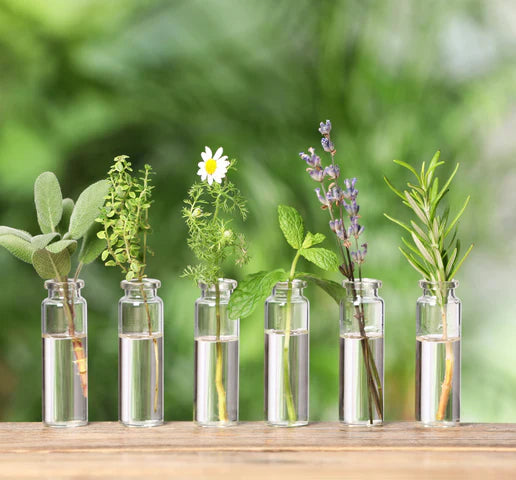 Higher Nature – náttúrulegt fyrir líkama og sál